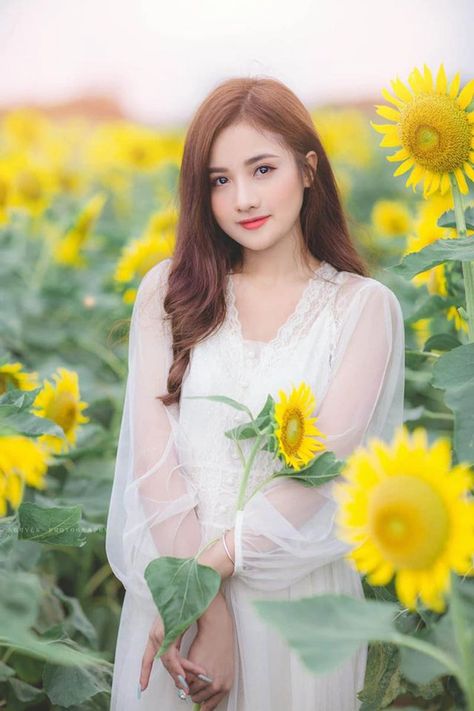 臺灣電影金瓶艷史