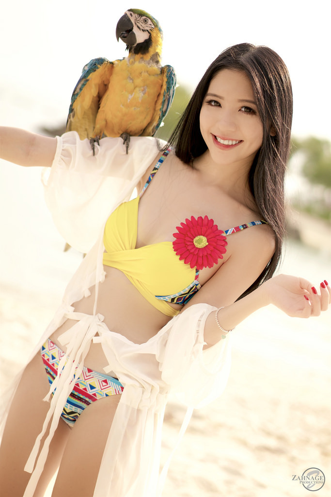 使徒行者1粵語