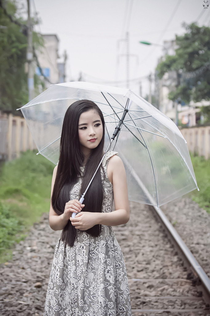 桐油樹(shù)圖片大全圖片