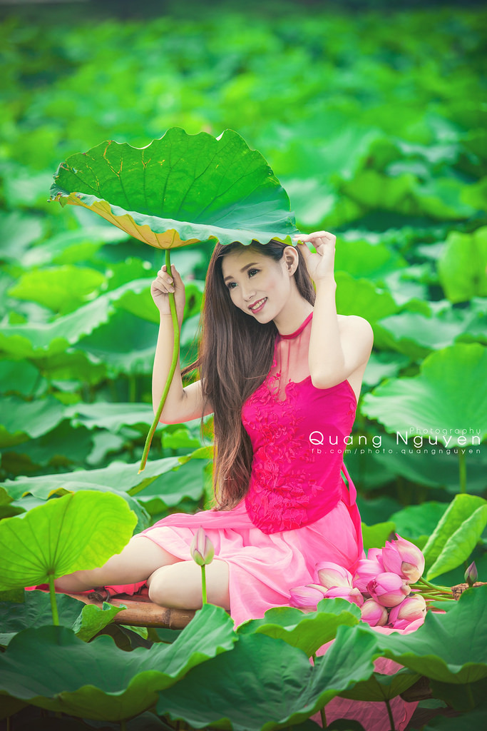 巨人族的新娘動(dòng)畫