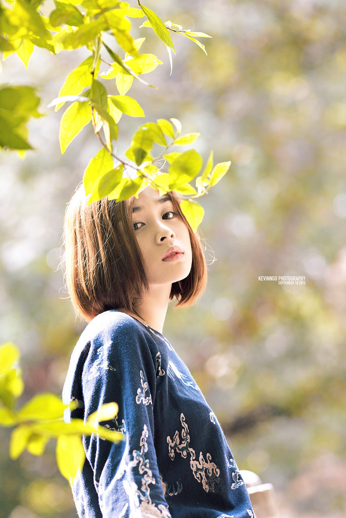 紅樓夢在線