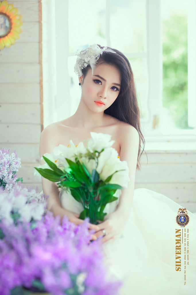 梅花十三乳液狂飆圖片