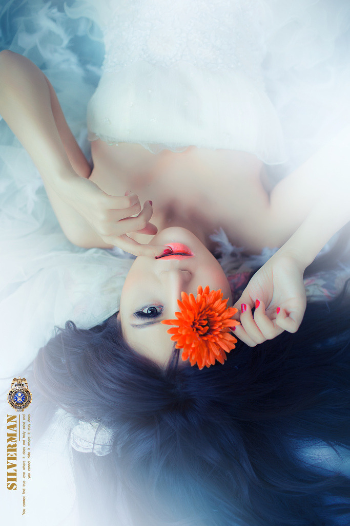 監(jiān)獄戰(zhàn)艦在線